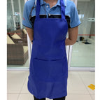 สีน้ำเงิน