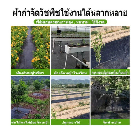 🚚พร้อมส่ง🚚พลาสติกคลุมดิน ผ้าคลุมหญ้า พลาสติกคลุมวัชพืช กำจัดวัชพืช ผ้าคลุมวัชพืช พลาสติกเกรดส่งออก ผสมUV ฆ่าหญ้า