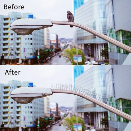 หนามกันนก กันนกเกาะ ยาวเส้นละ 50 ซม. กันนกพิราบ อุปกรณ์ไล่นก หนามไล่นก Bird Spikes