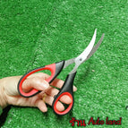 Shrimp K20-Black/Red